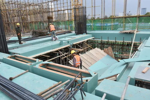 2021第五屆中國(guó)任丘模板腳手架展銷對(duì)接峰會(huì)圓滿落幕 建筑材料行業(yè)的新里程碑